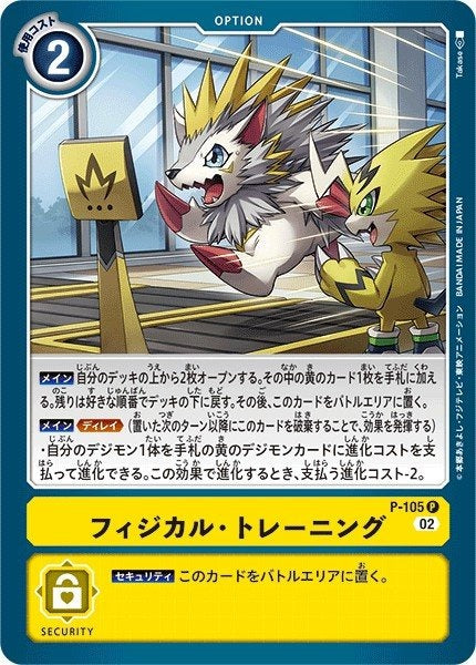 P-105 體能訓練 (AD01)