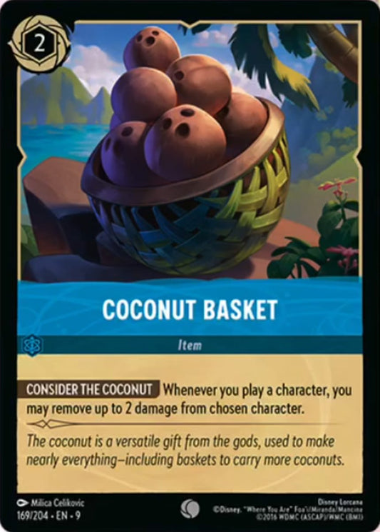 169/204-EN-9: Coconut Basket