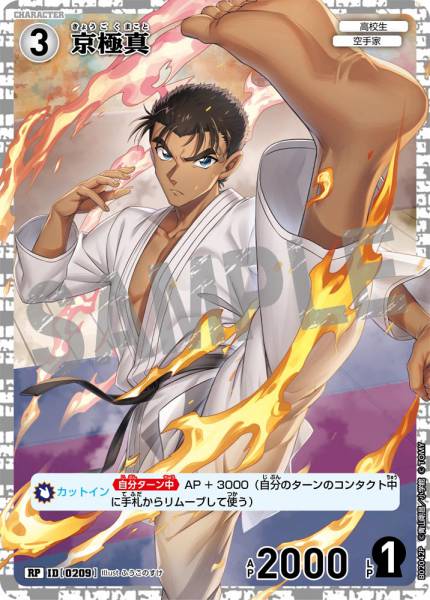 CT-P02-0209-Makoto Kyogoku 京極真 (P)