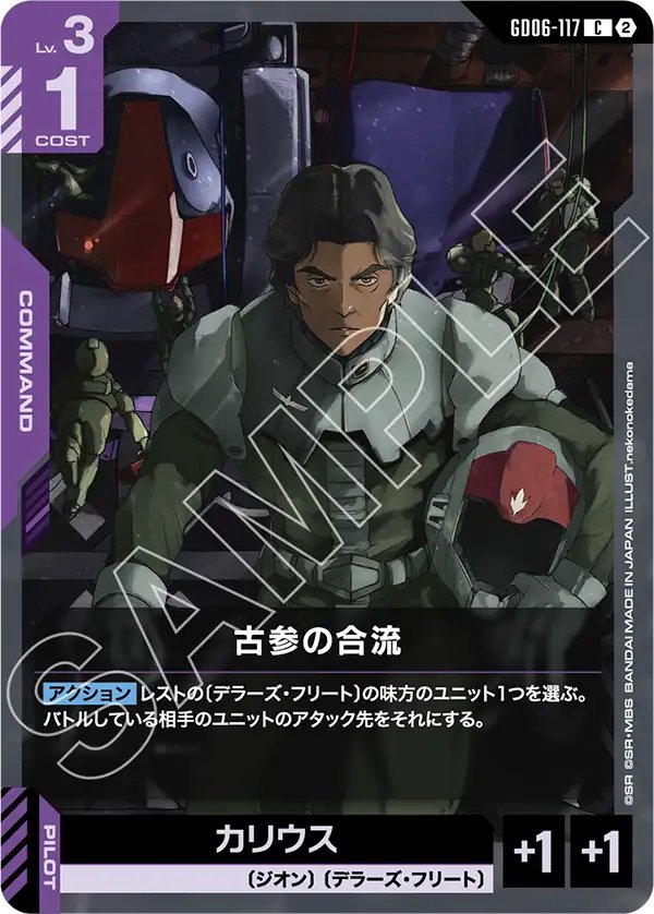 GD06-117 Veterans Joining Forces 老兵會合