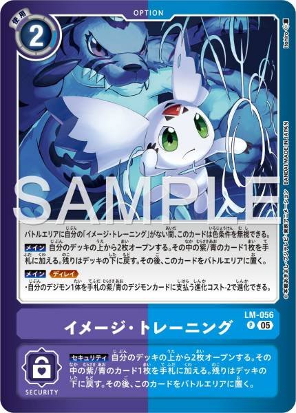 LM-056 Image Training