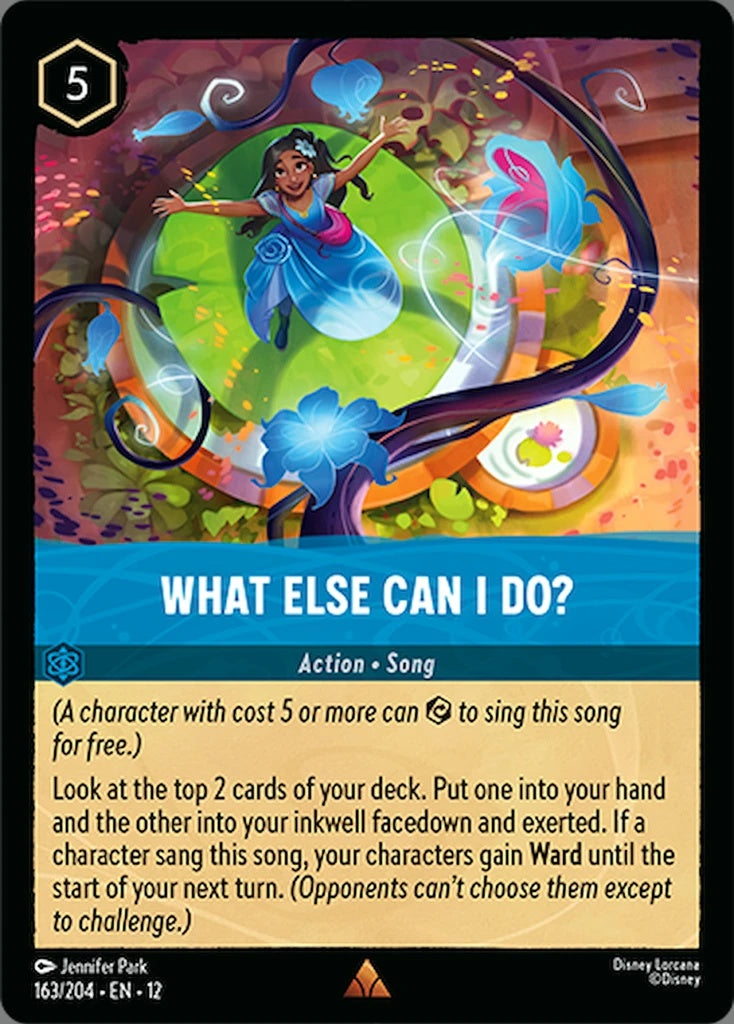 163/204-EN-12: What Else Can I Do?