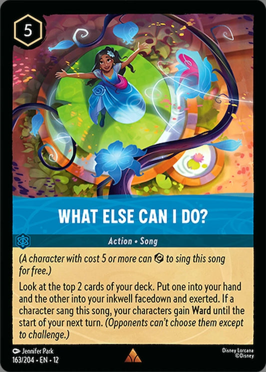 163/204-EN-12: What Else Can I Do?