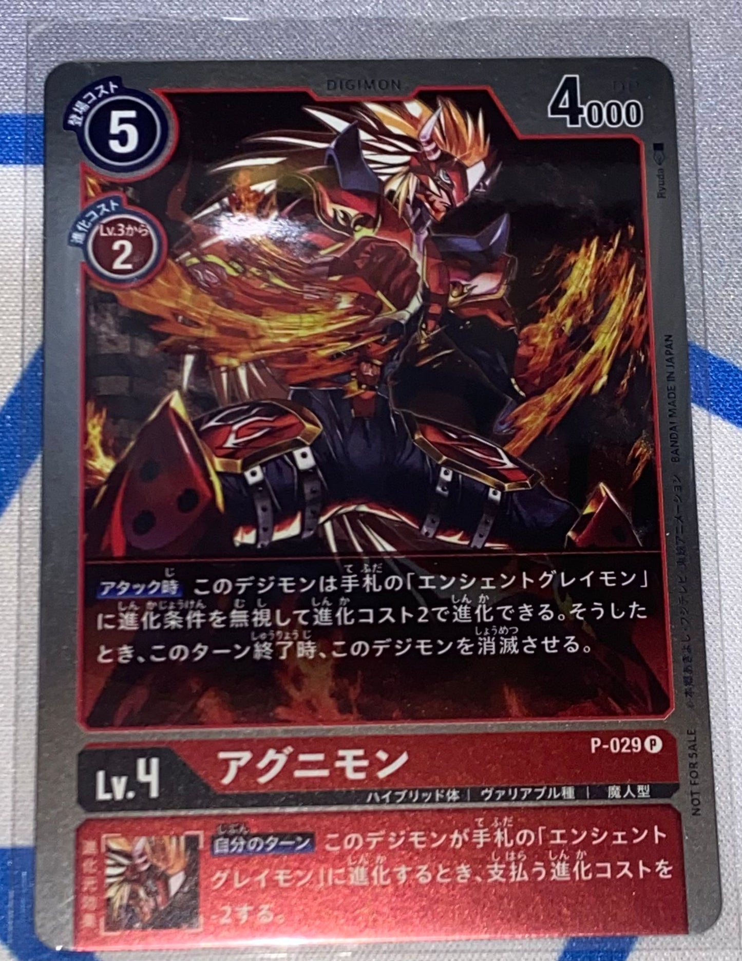 P-029 Agunimon 火神獸 (Alt art)(異畫)(閃面)(1st Anniversary Promotion Pack )(1周年紀念推廣卡包)